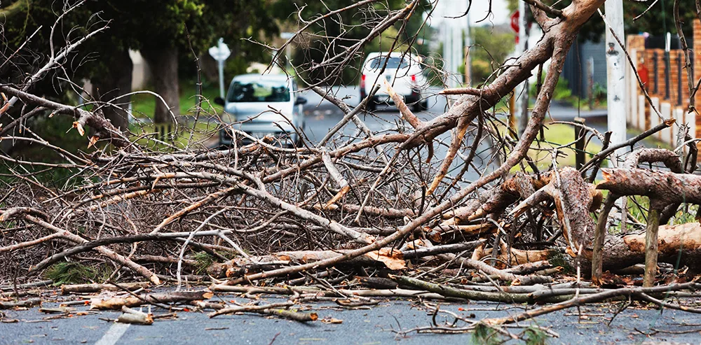 Site development project in Georgia