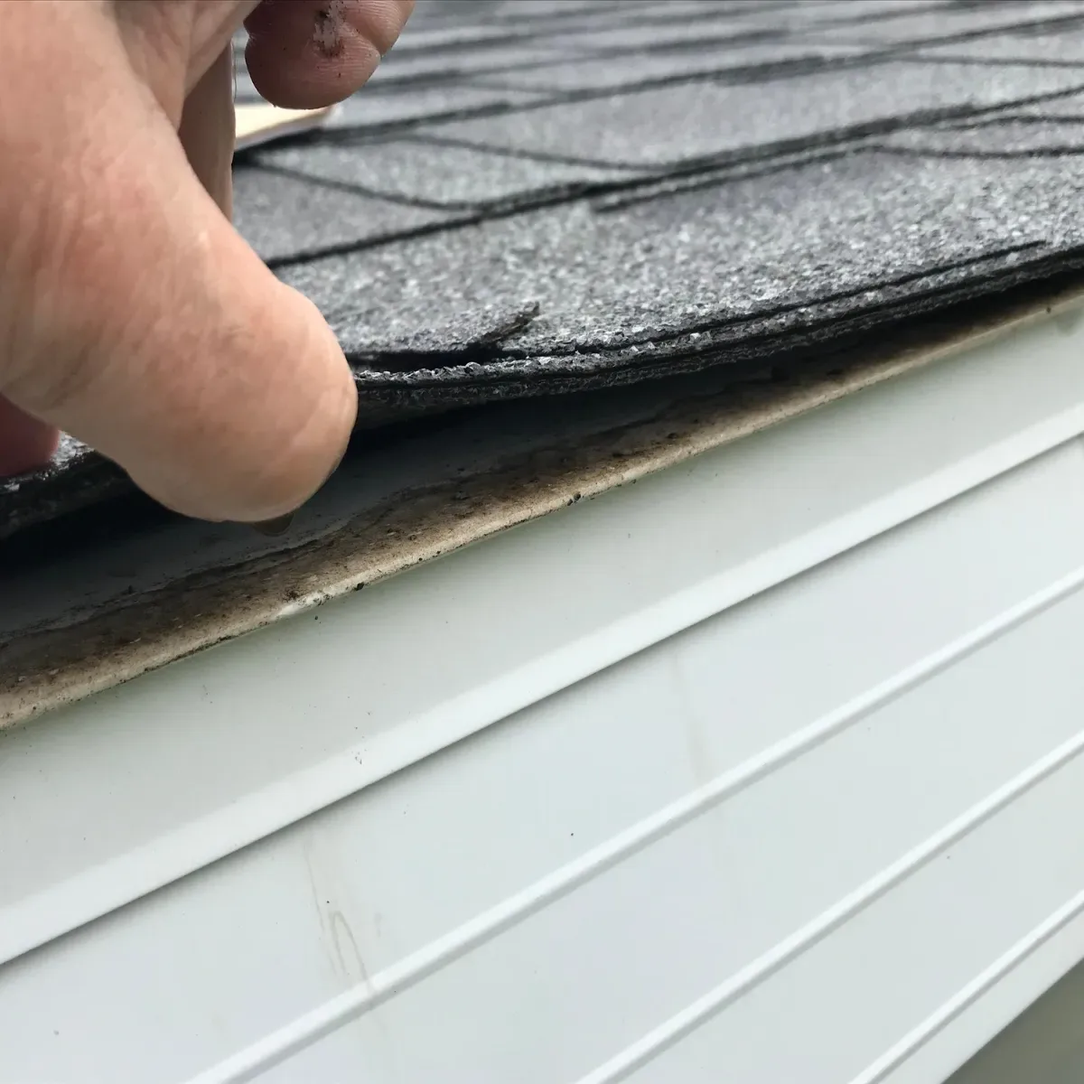 Roof Insurance Claims Assistance - Liberty Roof Group